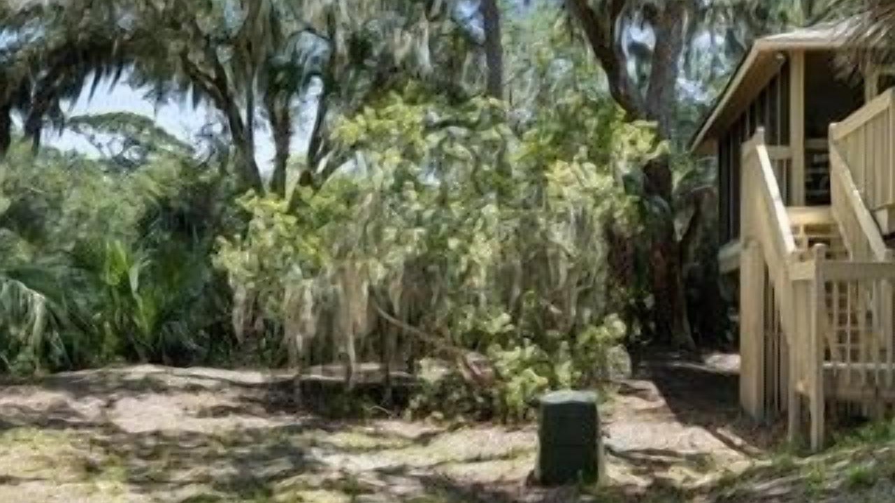 Photo of Outdoor in Seabrook Island