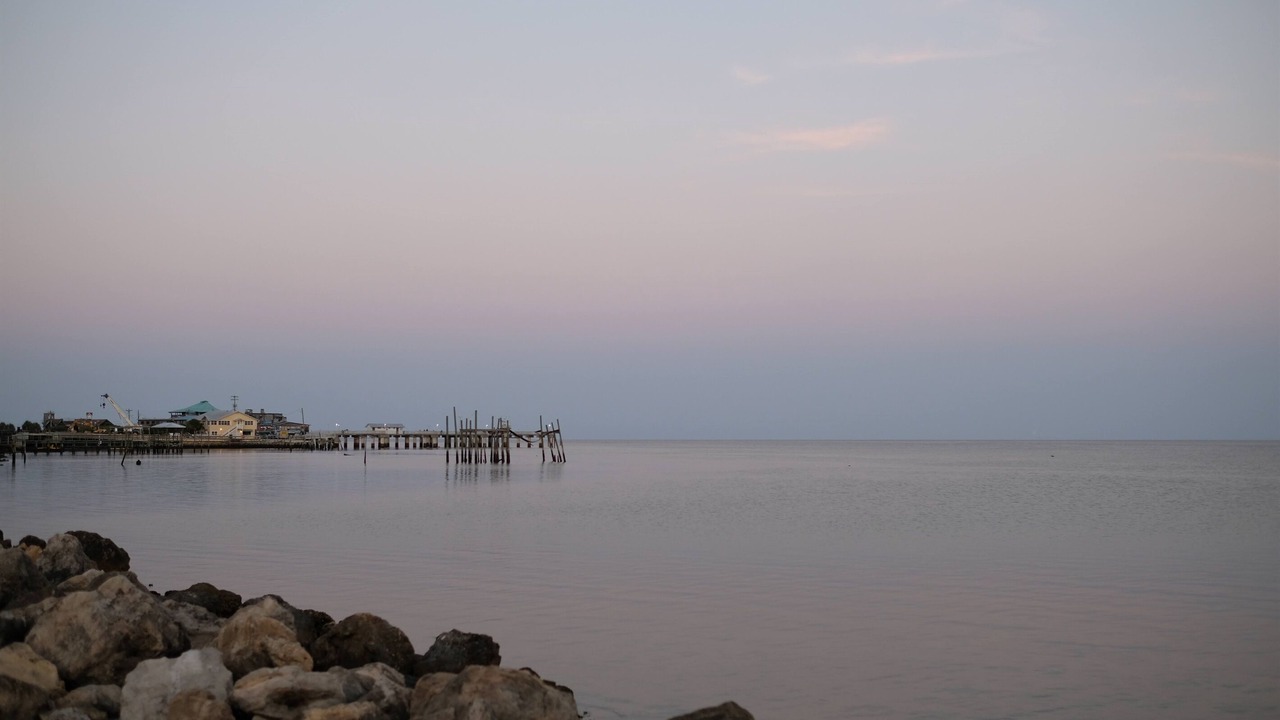 Photo of Others in Cedar Key
