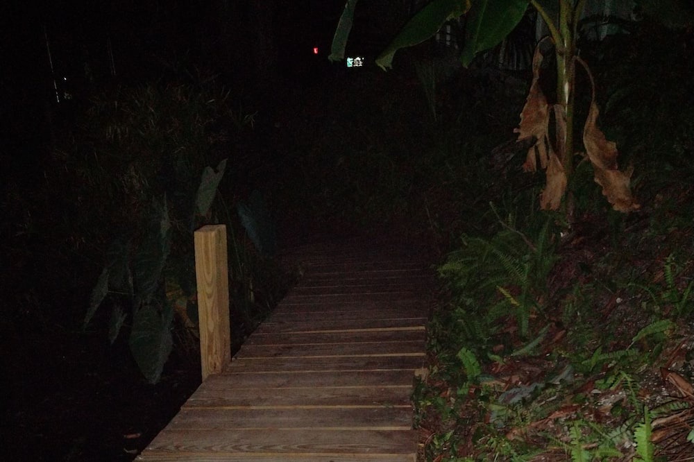 Photo of Outdoor in Chassahowitzka