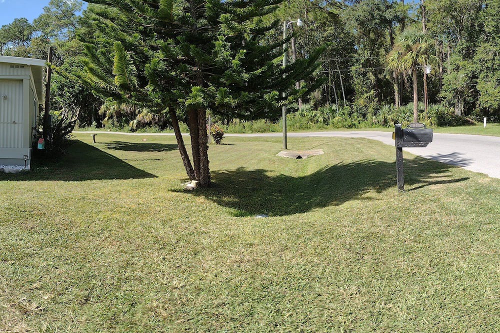 Photo of Others in Chassahowitzka
