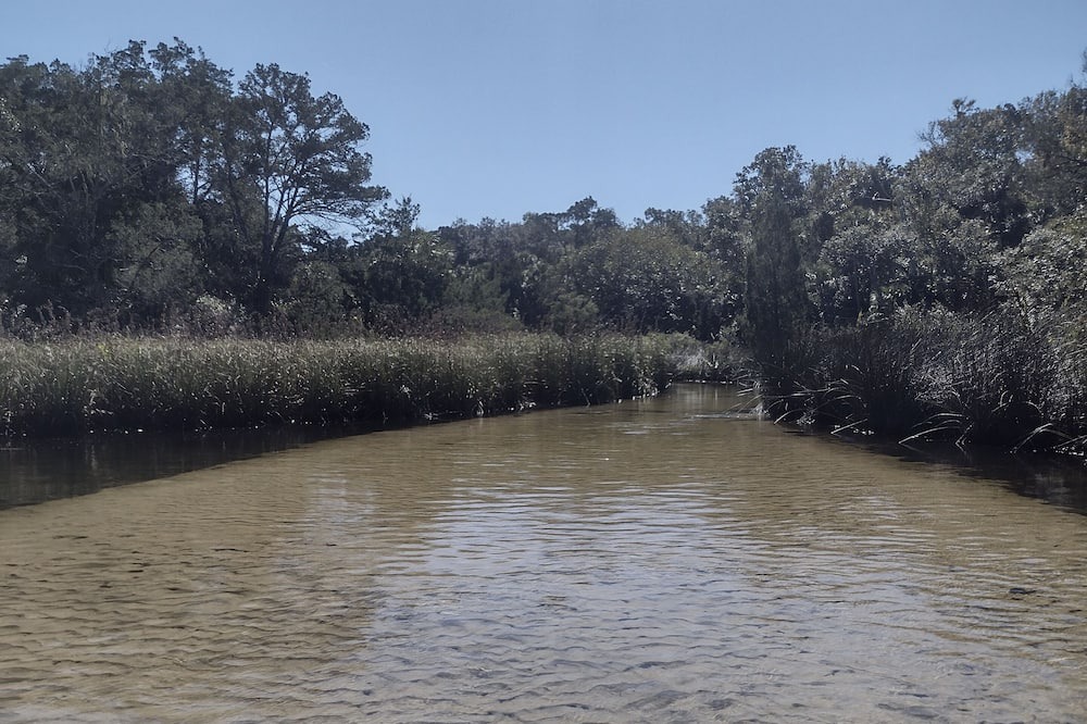 Photo of Others in Chassahowitzka