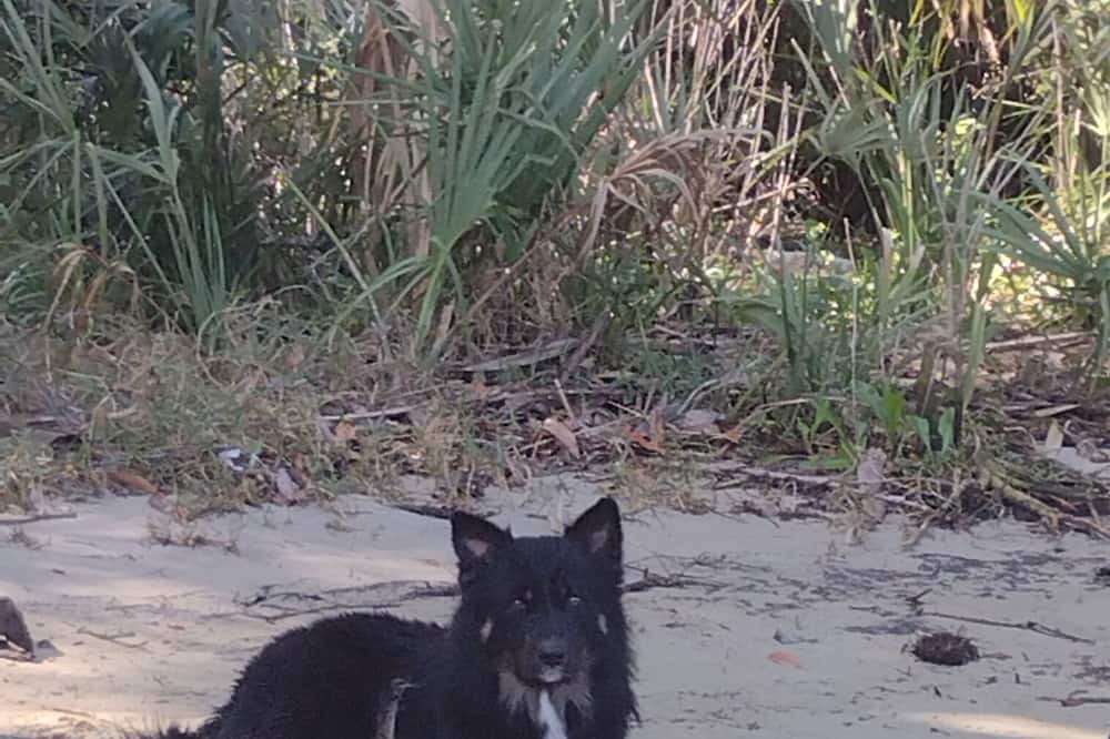 Photo of Outdoor in Chassahowitzka