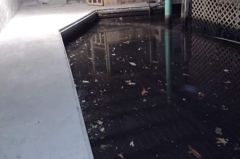 Photo of Others in Chassahowitzka