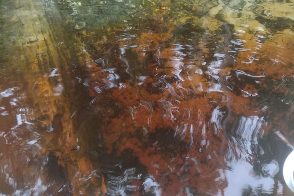 Photo of Outdoor in Chassahowitzka