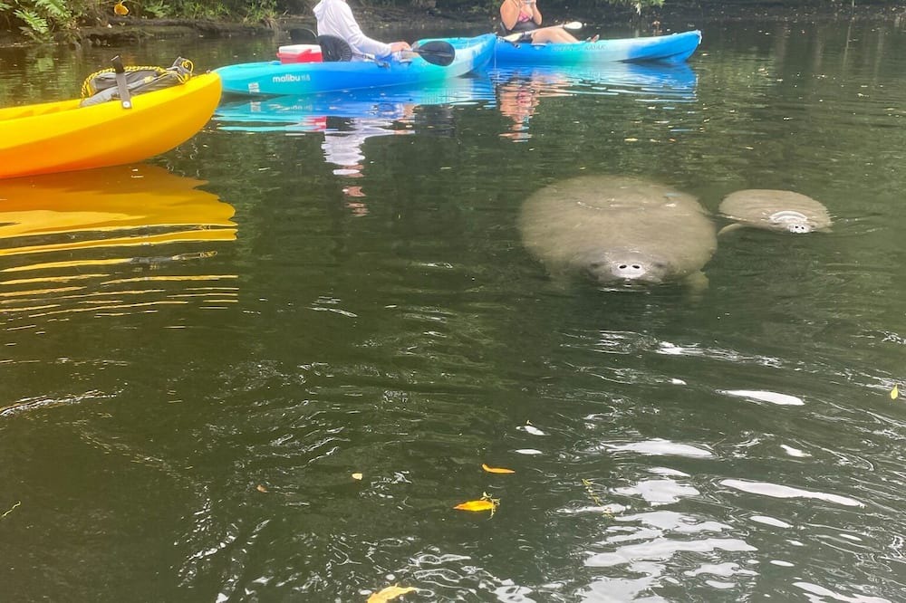 Photo of Others in Chassahowitzka