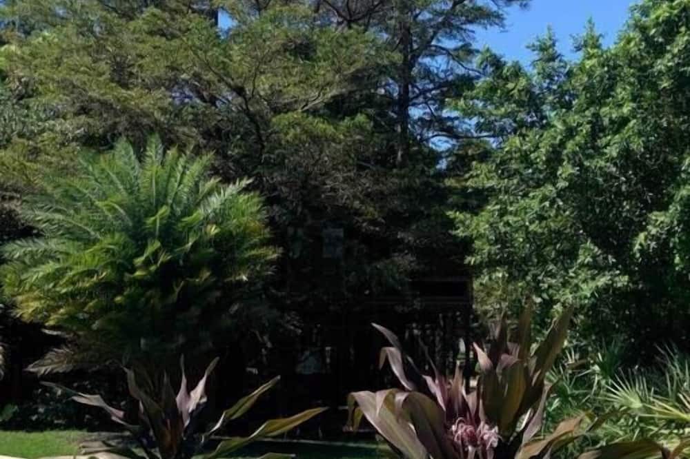 Photo of Outdoor in Palm Beach Country Estates