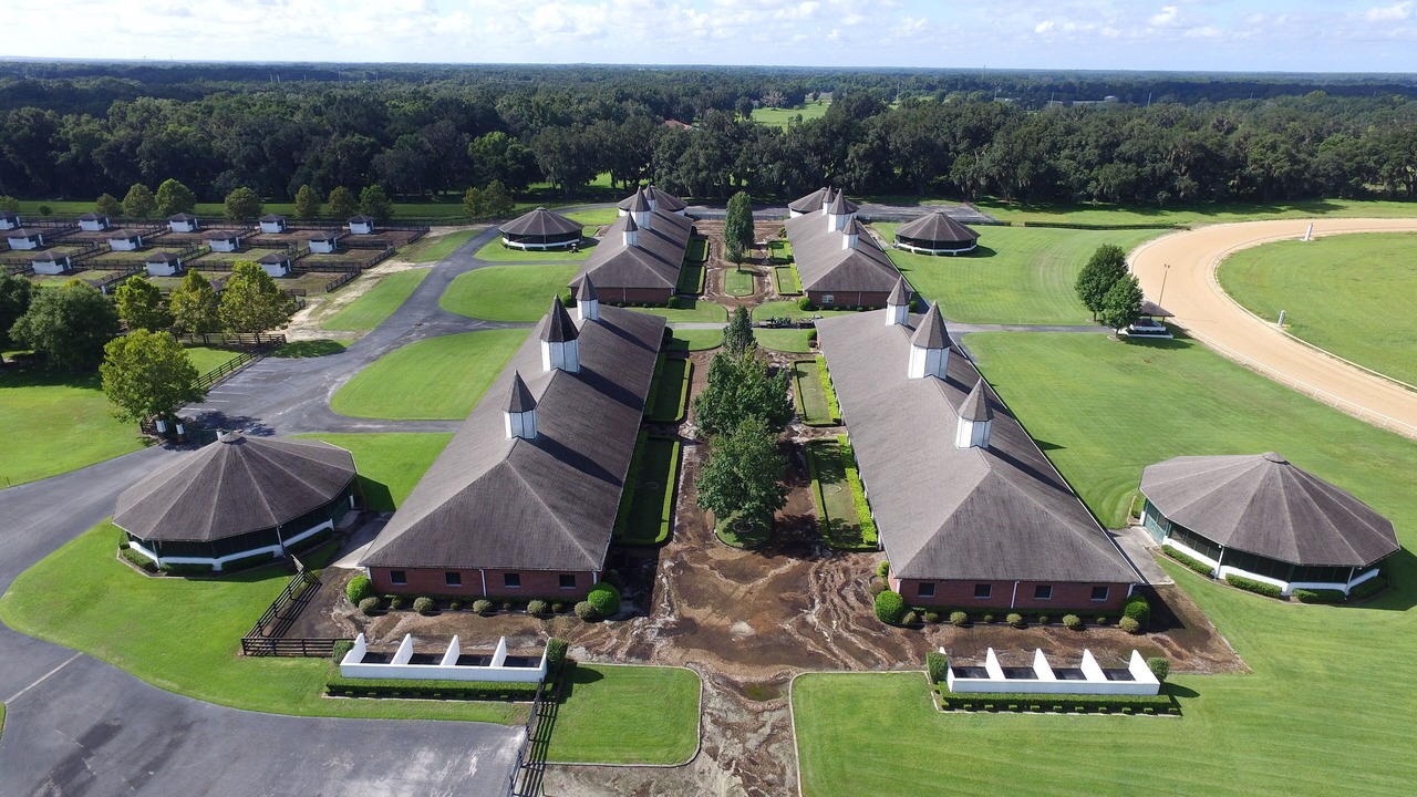 Photo of Outdoor in Summerfield