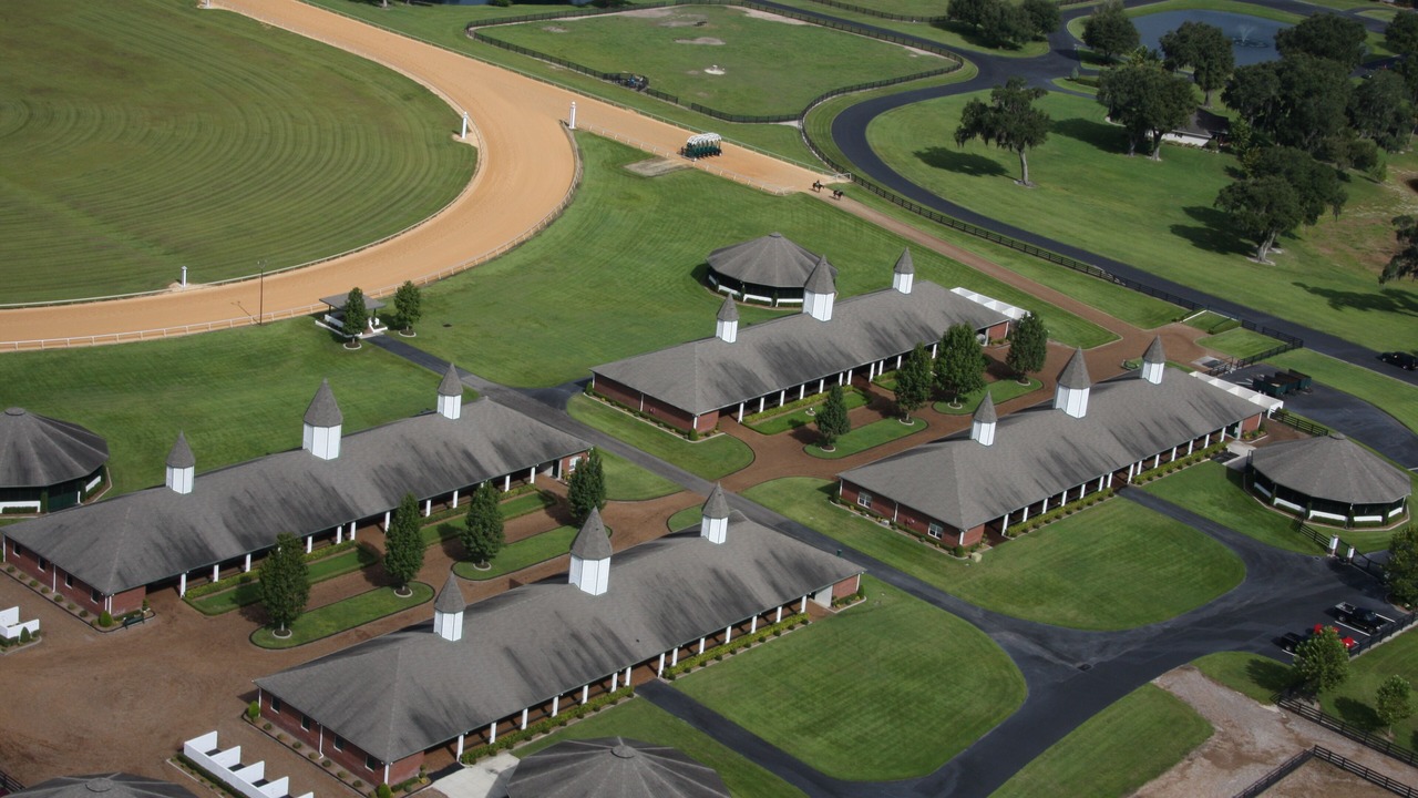 Photo of Outdoor in Summerfield
