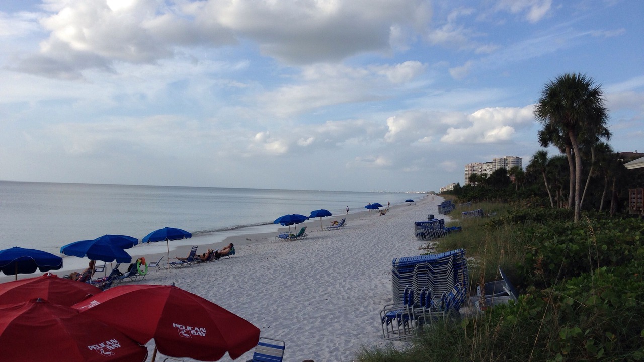 Photo of Others in Pelican Bay