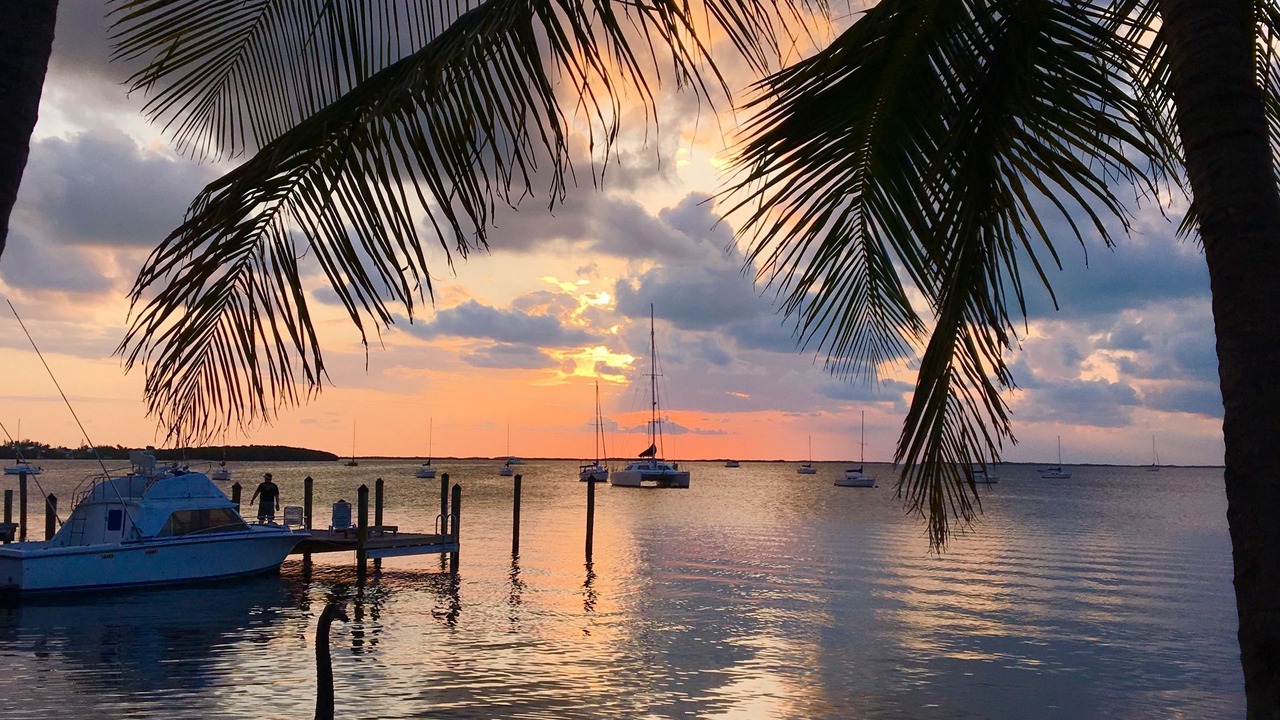 Photo of Others in Key Largo