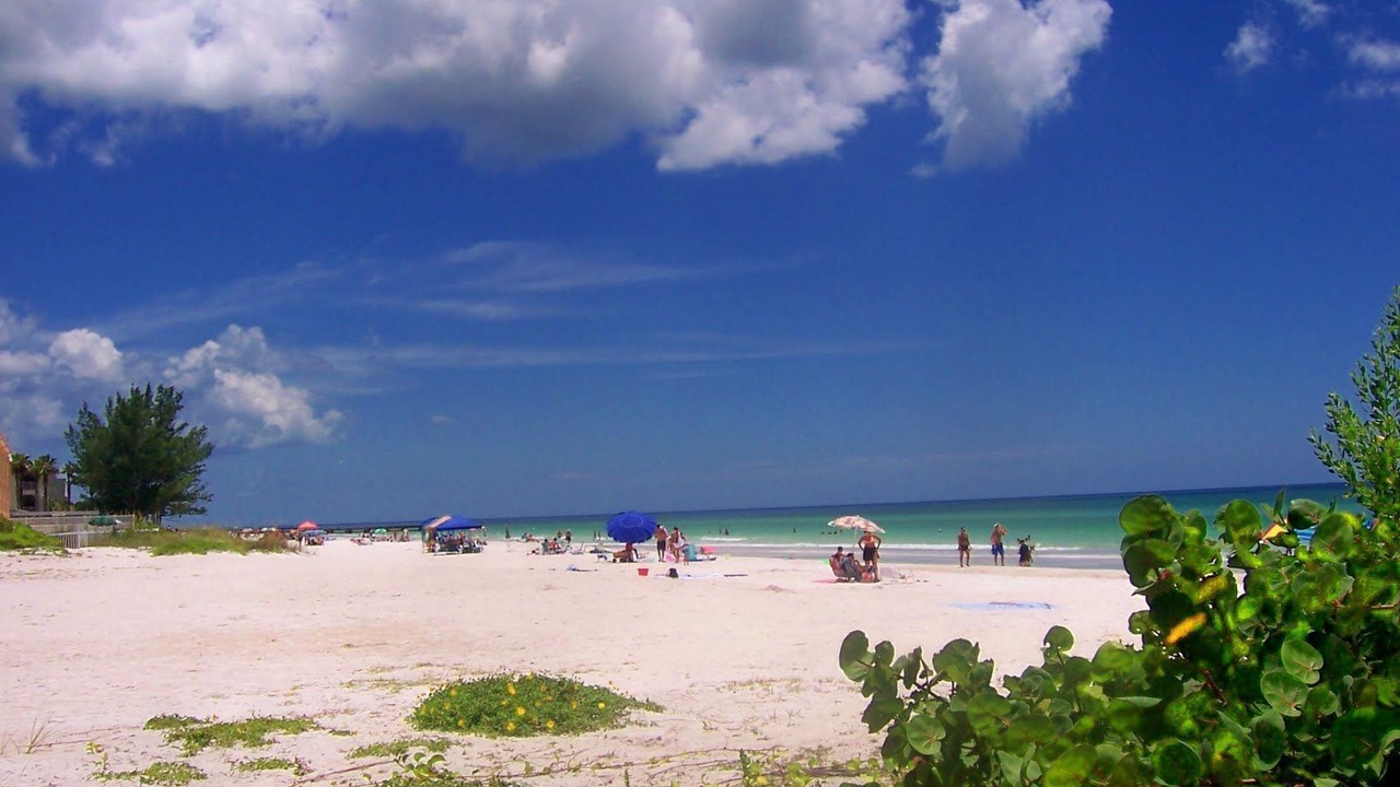 Photo of Others in Bradenton