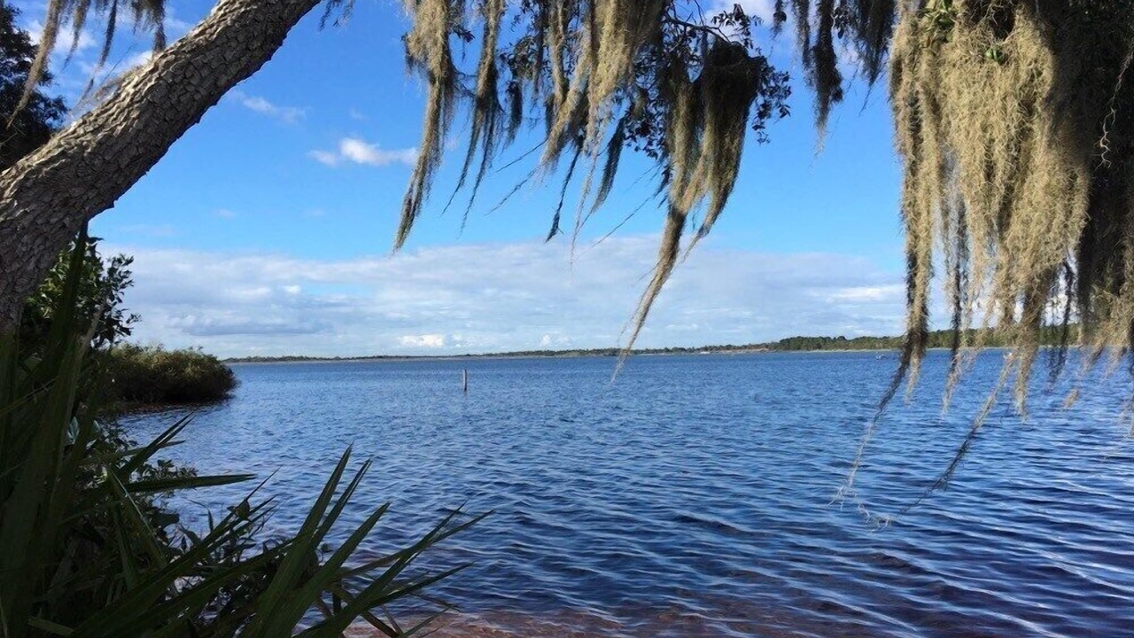 Photo of Others in Bradenton