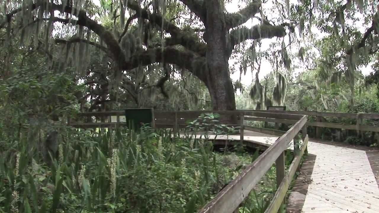 Photo of Others in Bradenton