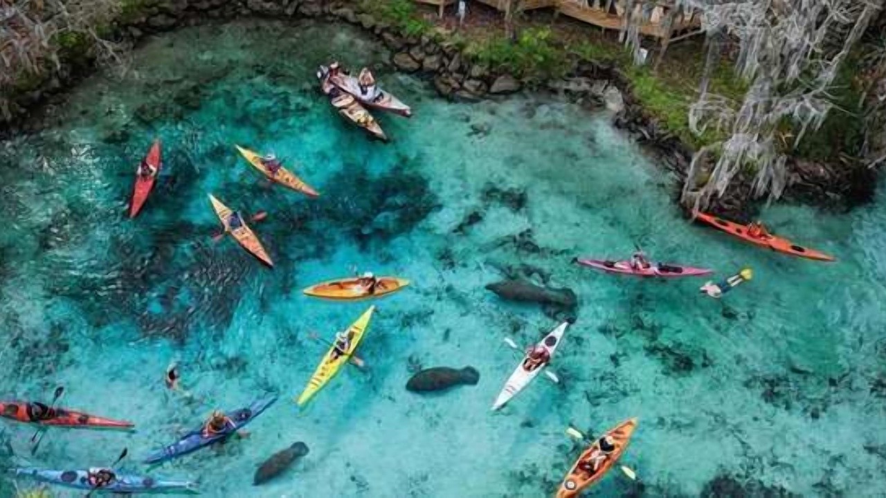 Photo of Others in Crystal River