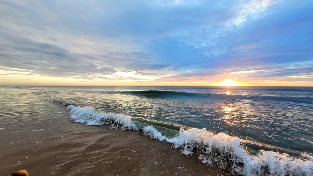 Photo of Others in Ormond-by-the-Sea