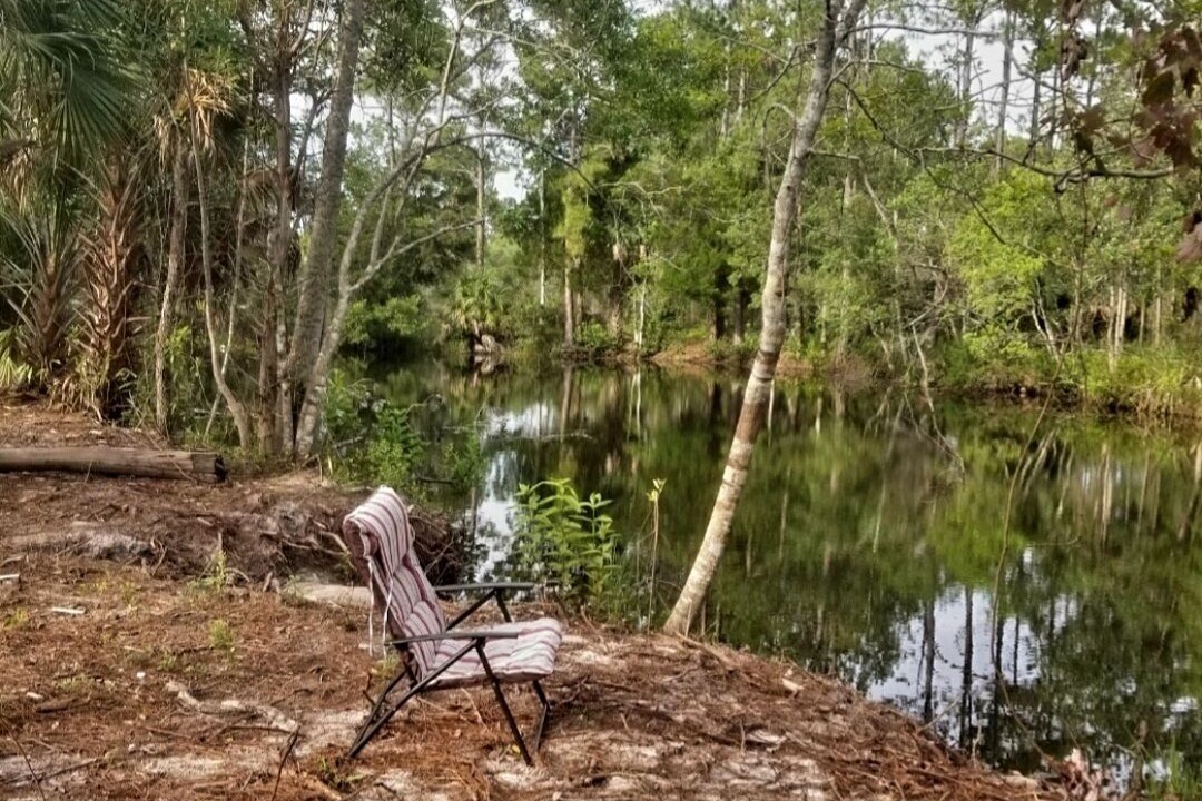 Photo of Outdoor in Chiefland