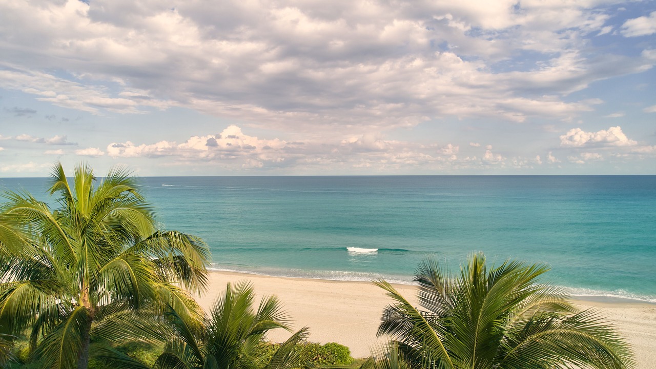 Photo of Others in Boca Raton