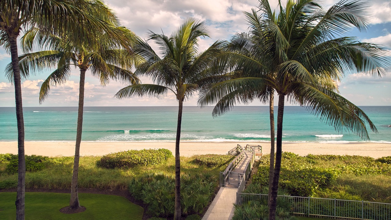 Photo of Others in Boca Raton