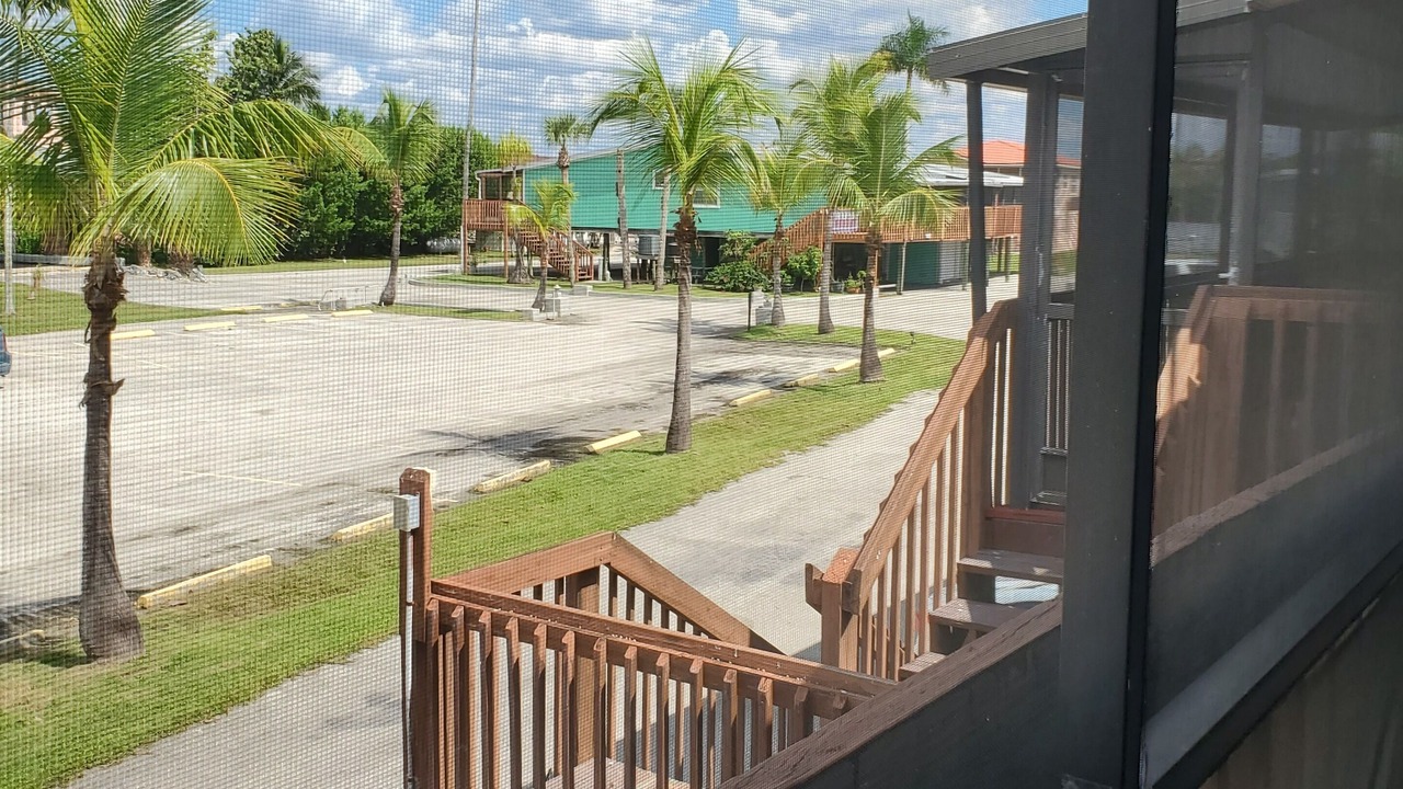 Photo of Outdoor in Everglades City