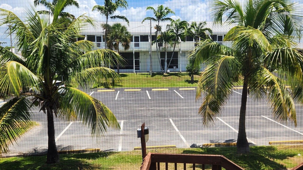 Photo of Outdoor in Everglades City