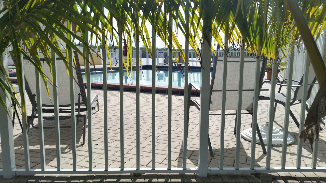 Photo of Outdoor in Everglades City