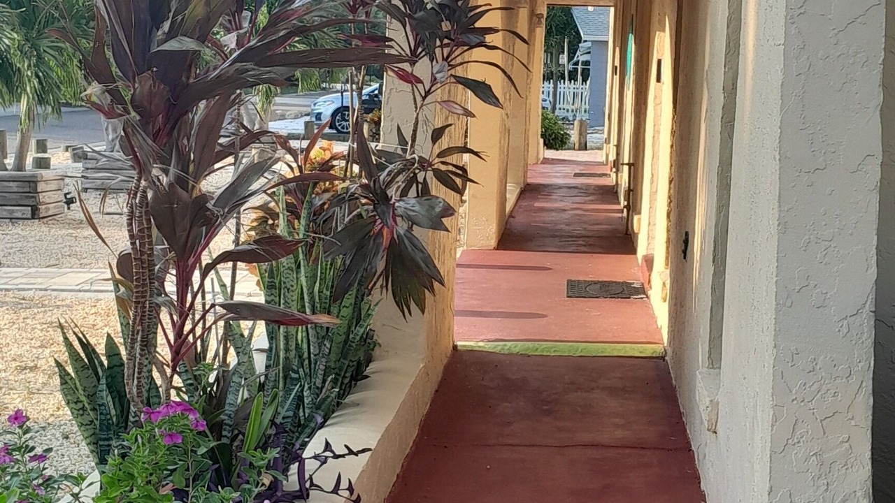 Photo of Outdoor in Indian Rocks Beach