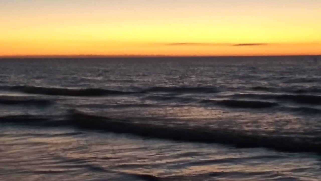 Photo of Others in Indian Rocks Beach