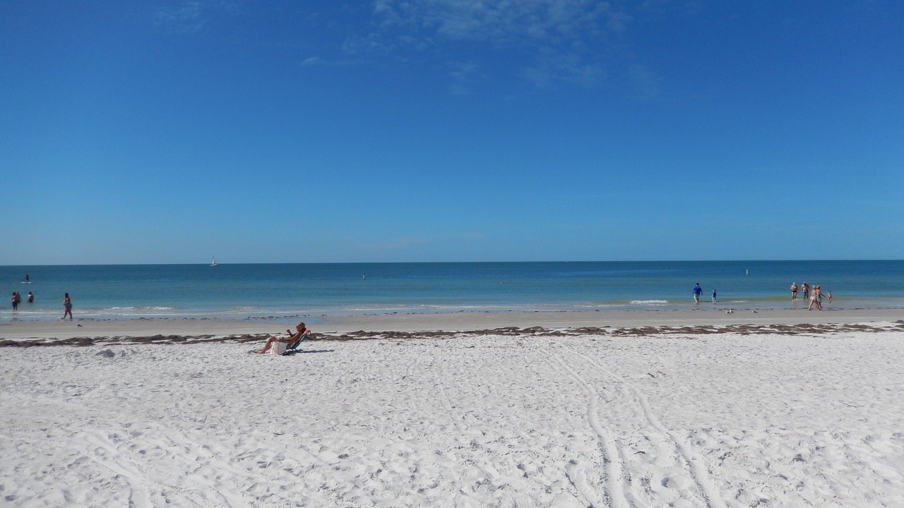 Photo of Others in Indian Rocks Beach