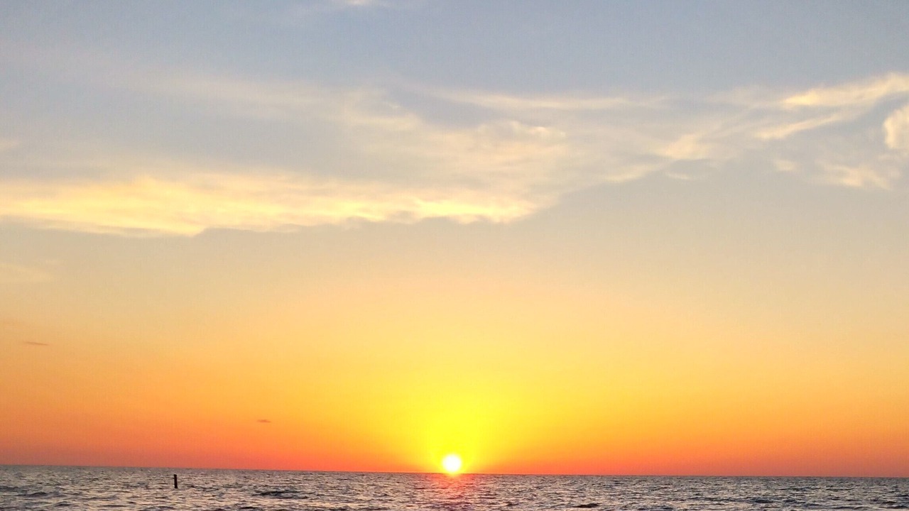 Photo of Others in Indian Rocks Beach