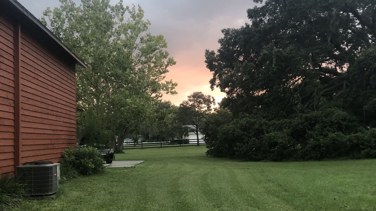 Photo of Outdoor in Wesley Chapel