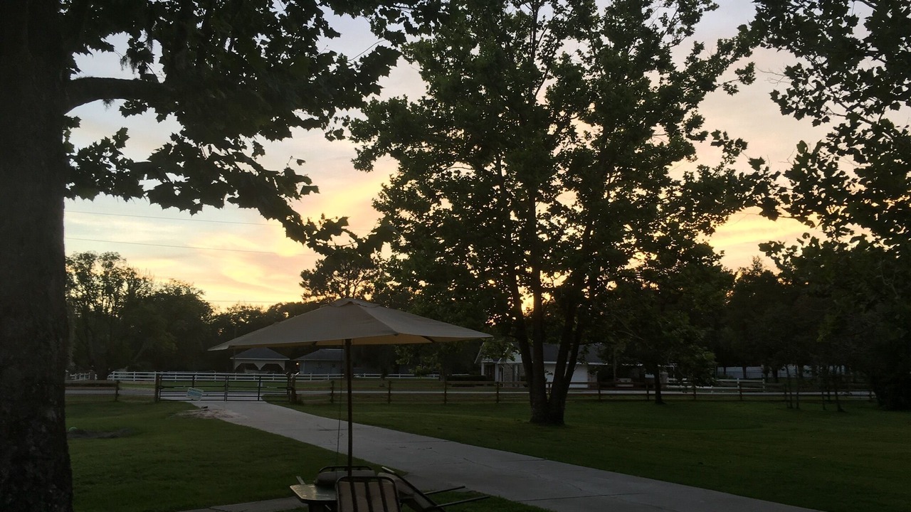 Photo of Outdoor in Wesley Chapel