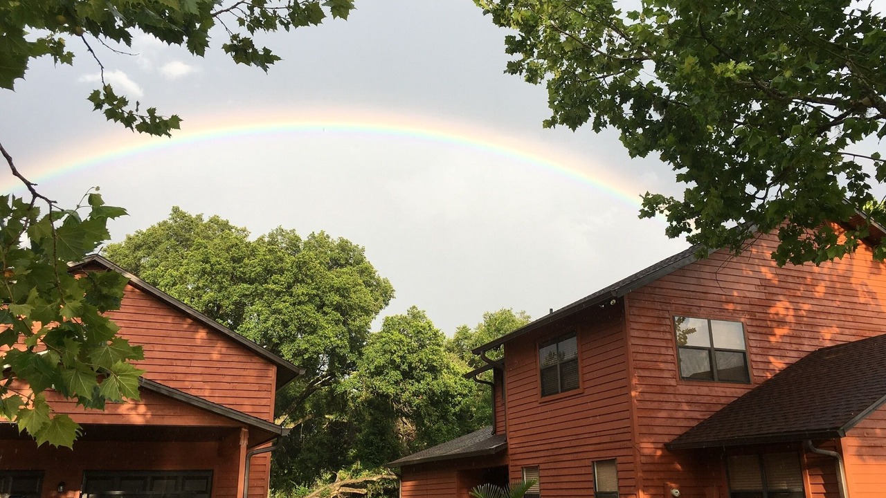 Photo of Outdoor in Wesley Chapel