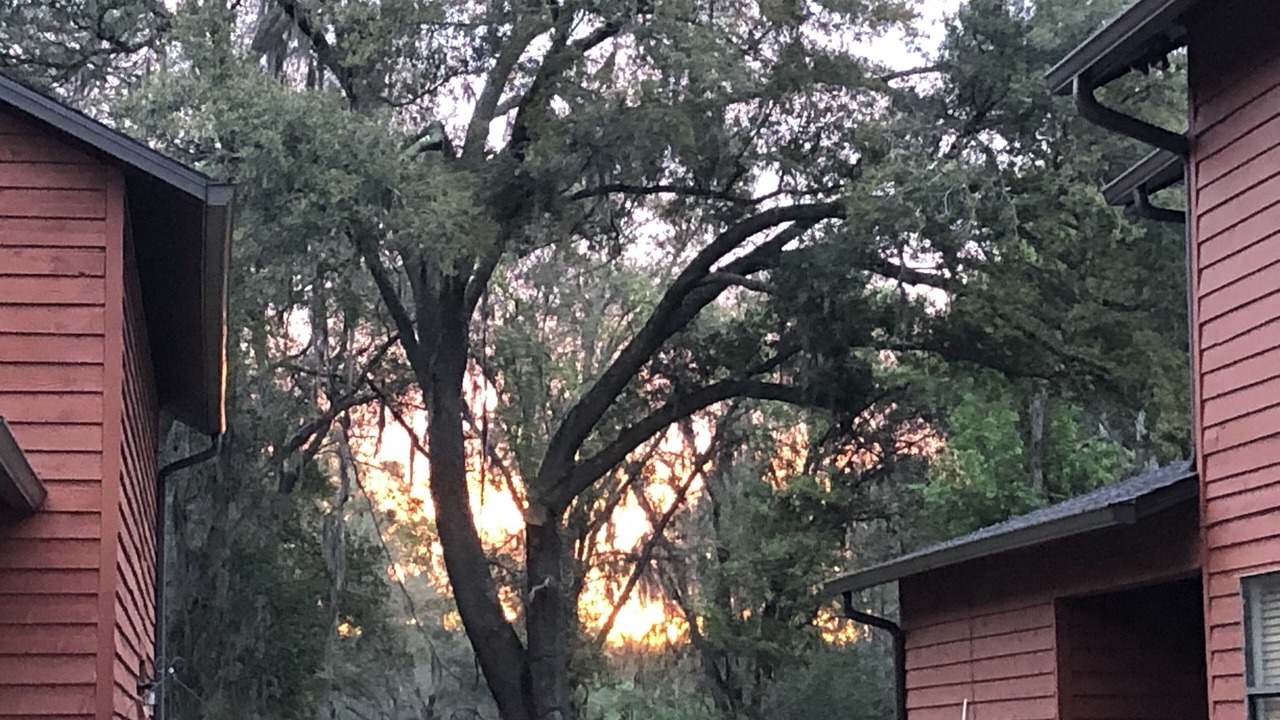 Photo of Outdoor in Wesley Chapel