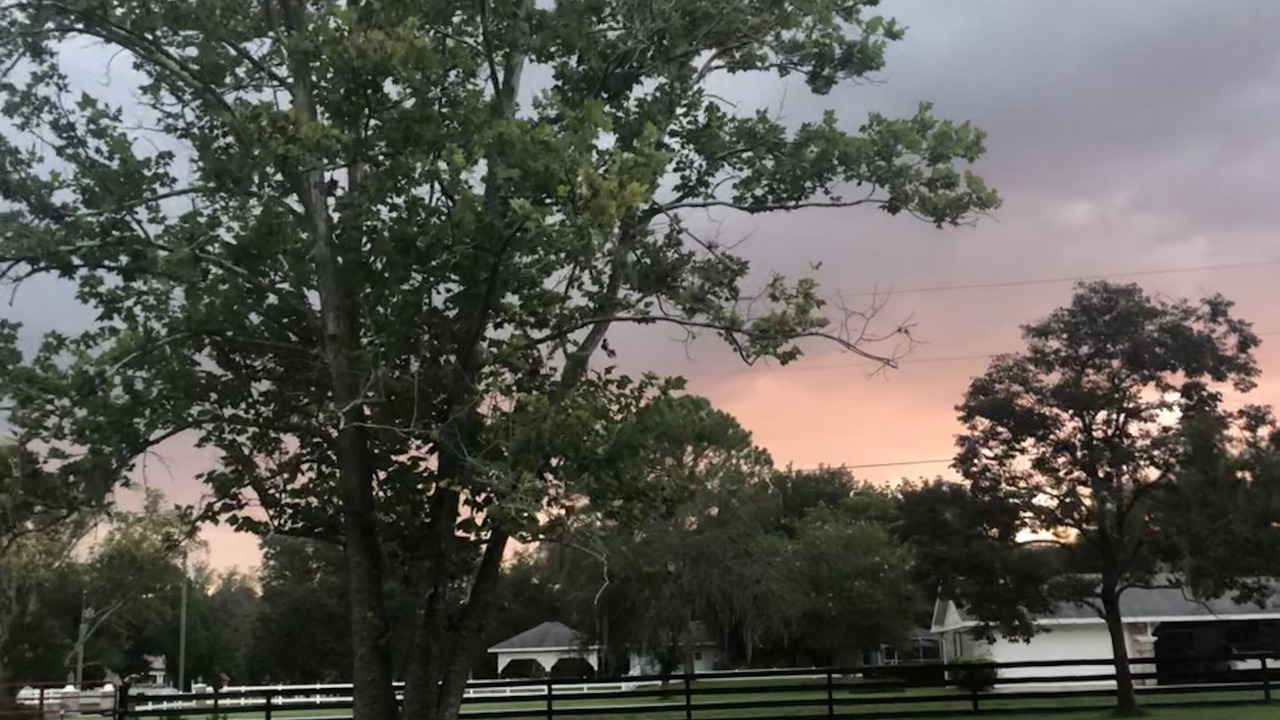 Photo of Others in Wesley Chapel