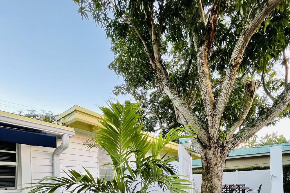 Photo of Outdoor in Pineapple Grove Arts District