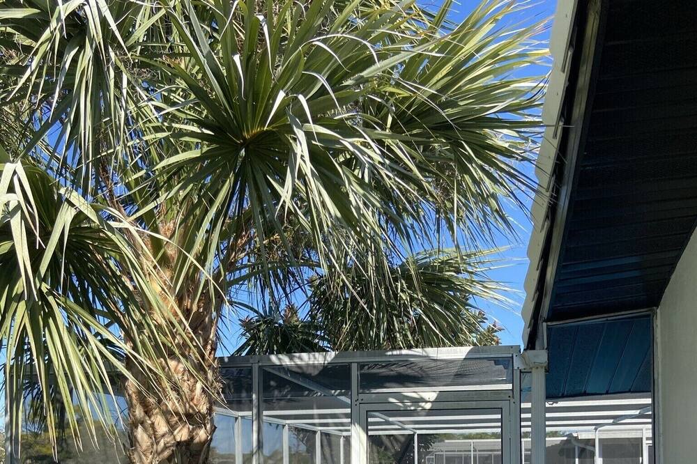 Photo of Outdoor in Oakland Hills