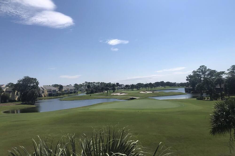 Photo of Others in Sawgrass
