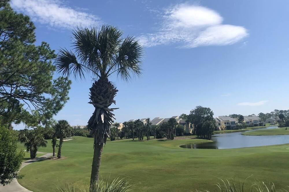 Photo of Others in Sawgrass