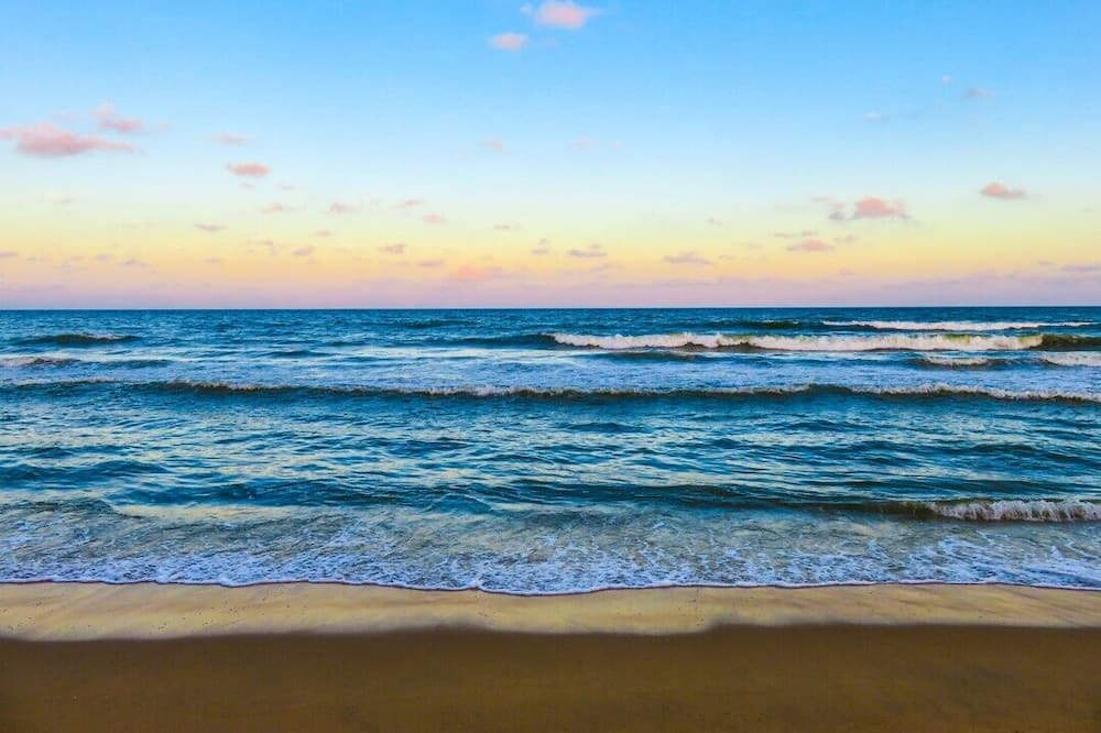 Photo of Others in Fort Myers Beach