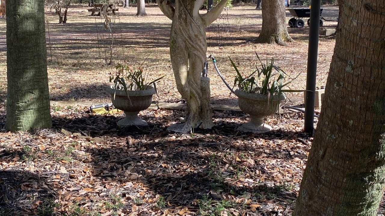 Photo of Outdoor in Crawfordville