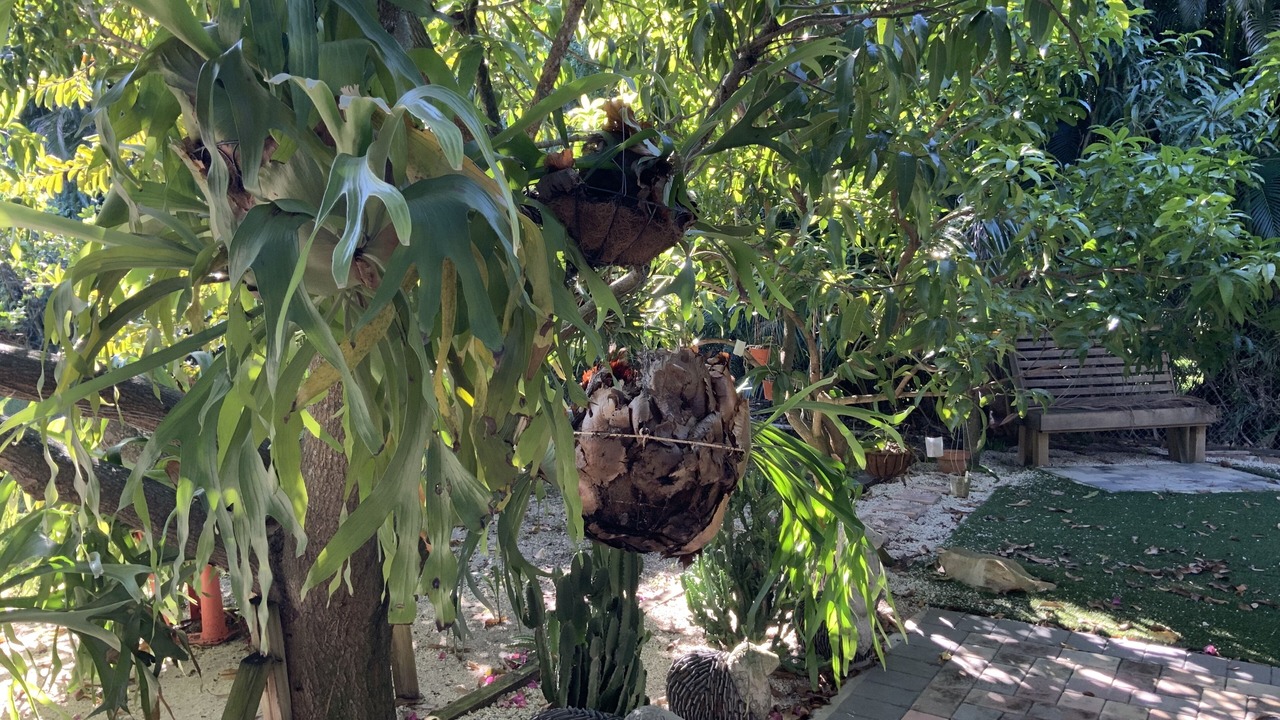 Photo of Outdoor in Survey Creek