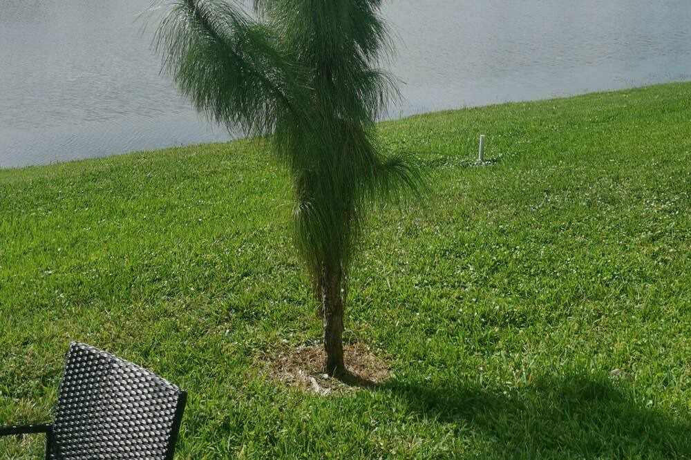 Photo of Outdoor in Riviera Beach