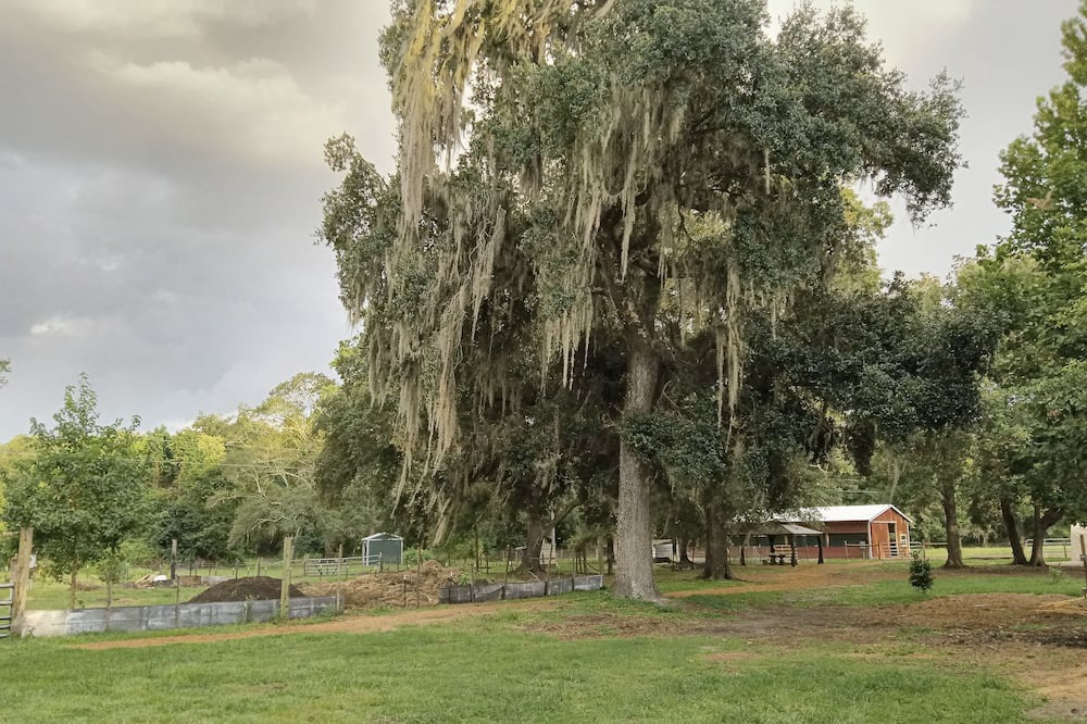 Photo of Outdoor in Putnam Hall