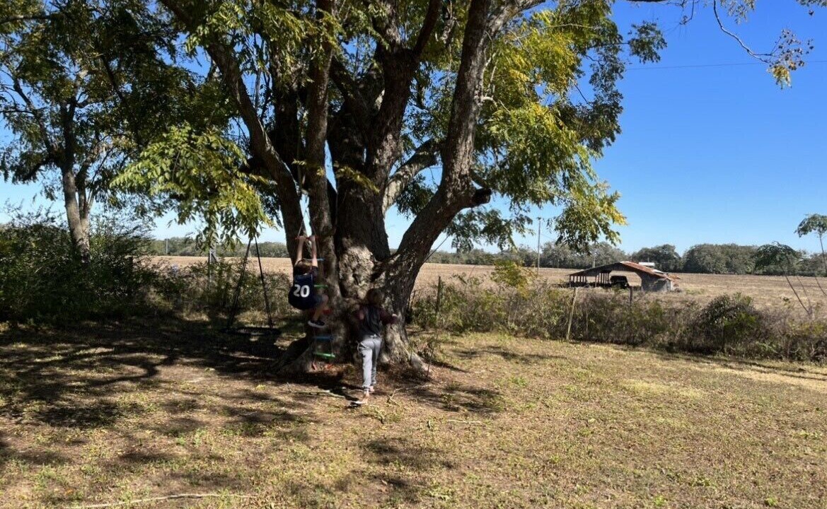 Photo of Outdoor in Dade City