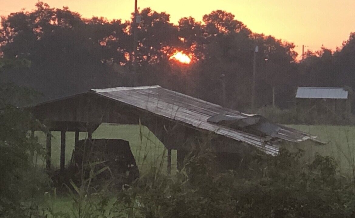 Photo of Outdoor in Dade City