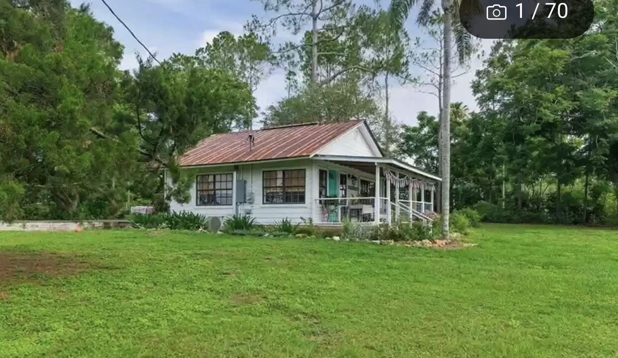 Photo of Outdoor in Dade City