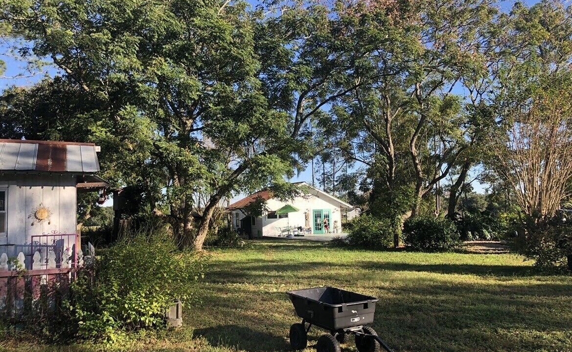 Photo of Outdoor in Dade City