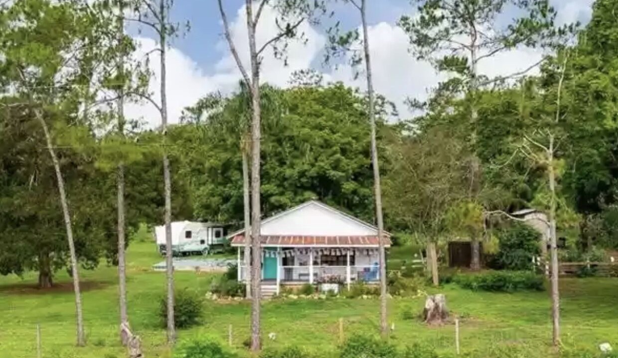 Photo of Outdoor in Dade City