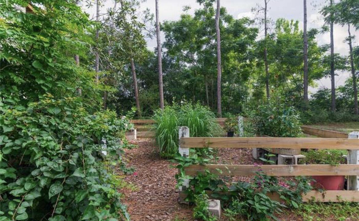 Photo of Outdoor in Dade City