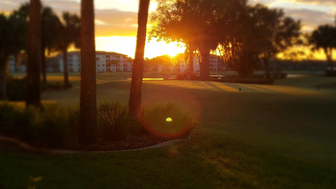 Photo of Outdoor in Heritage Palms